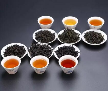 茶葉未來發展，名茶PK民茶